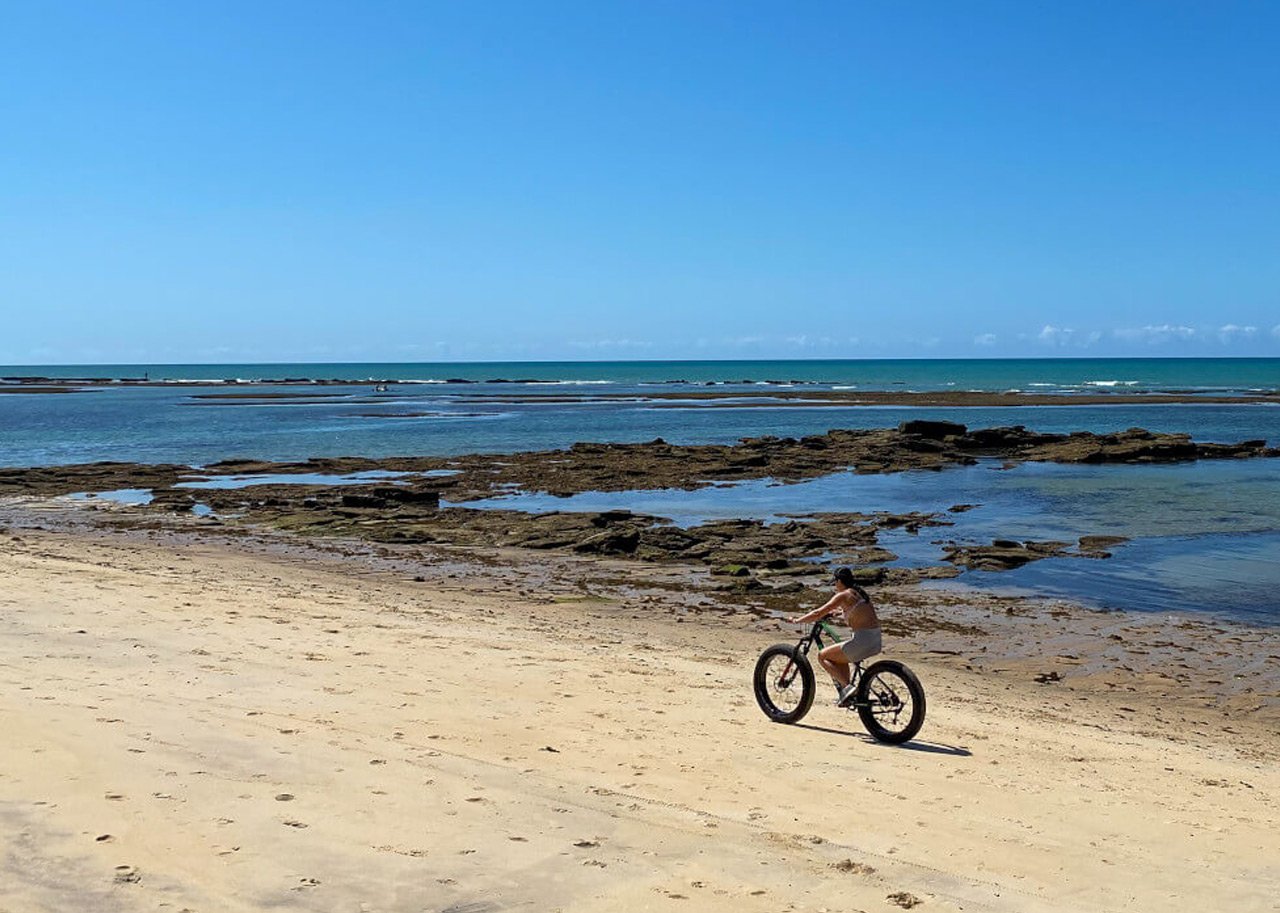 trilha de bicicleta na mata