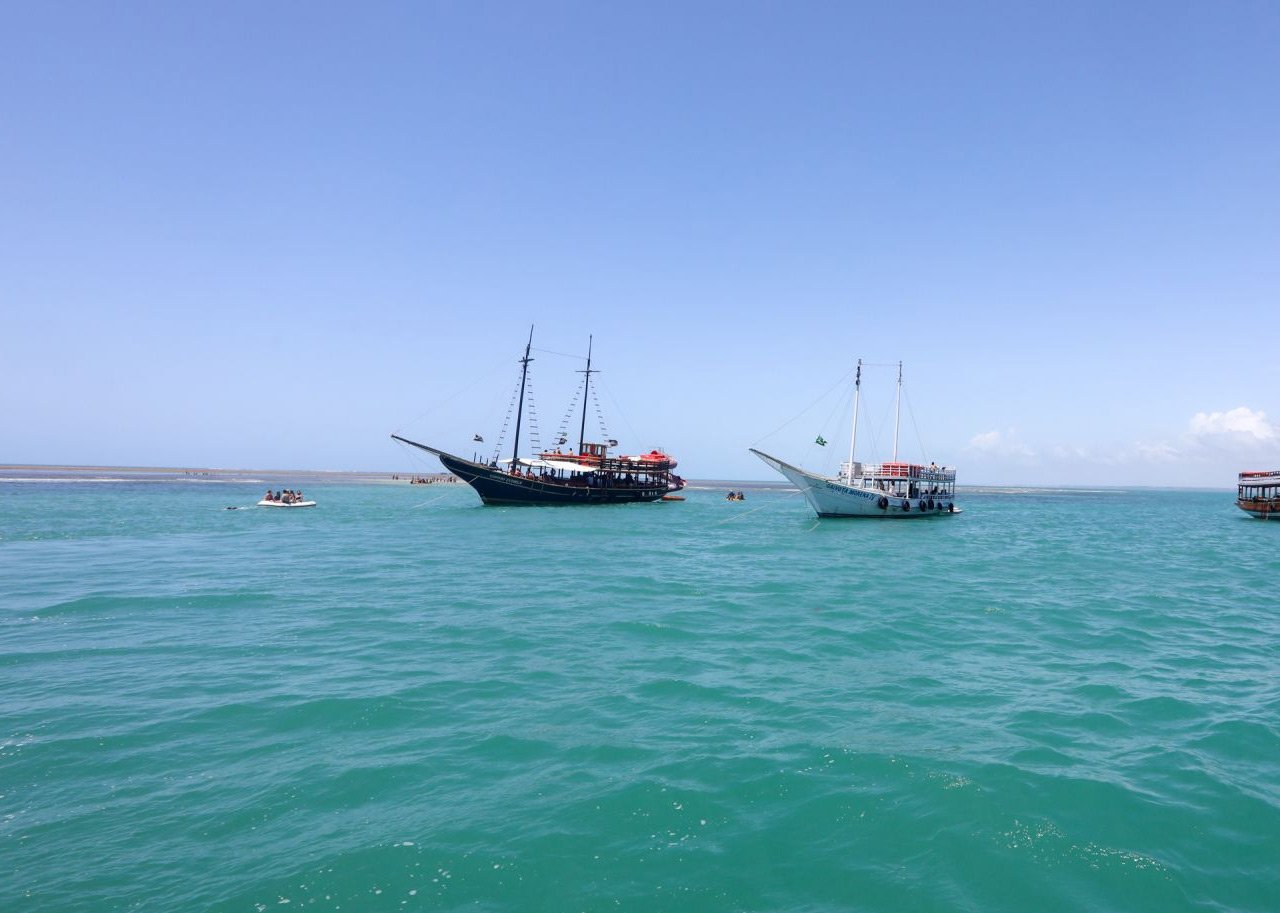 passeio de lancha, baleia jubarte